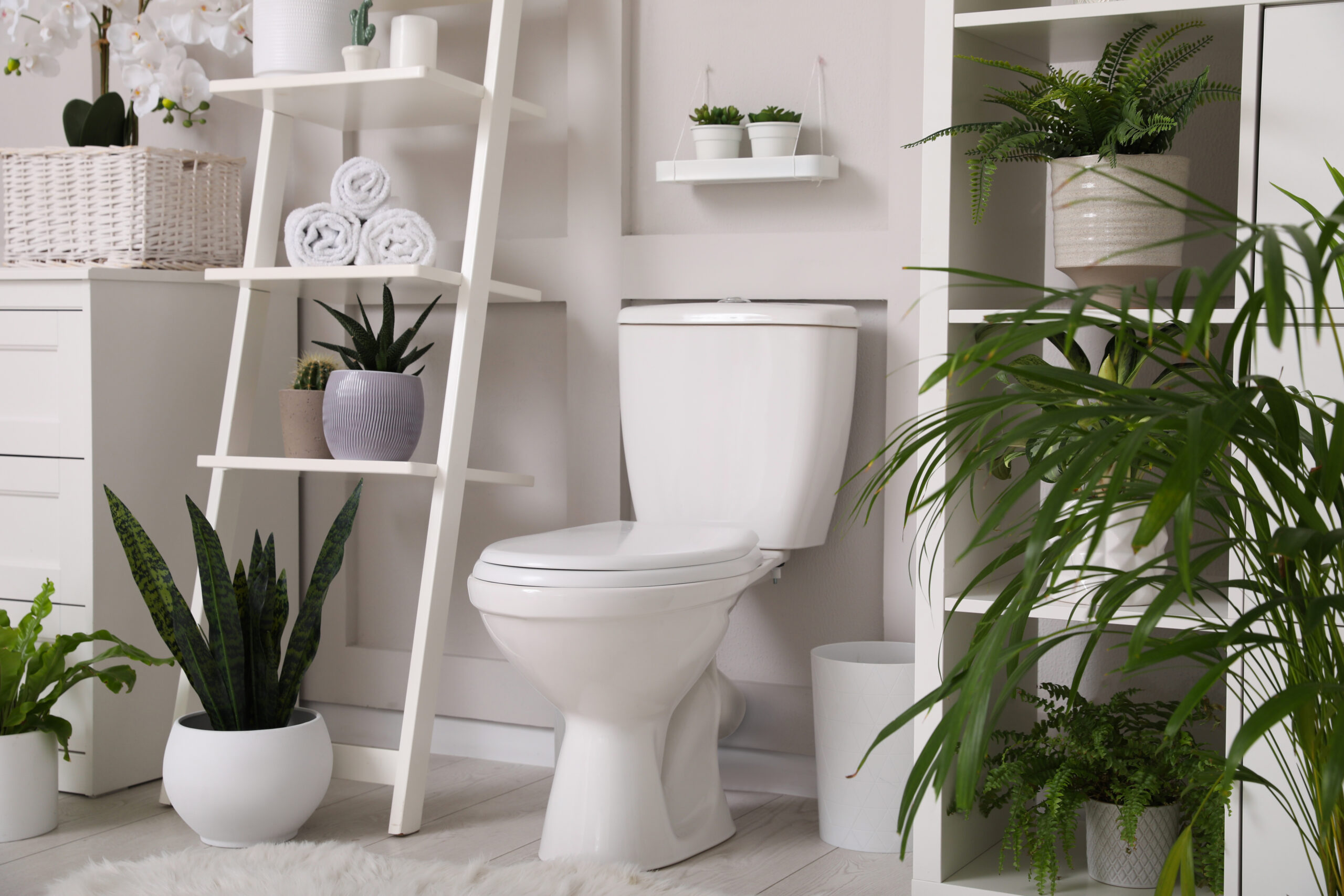 What is a Pressure-Assisted Toilet and Why Would You Need One?