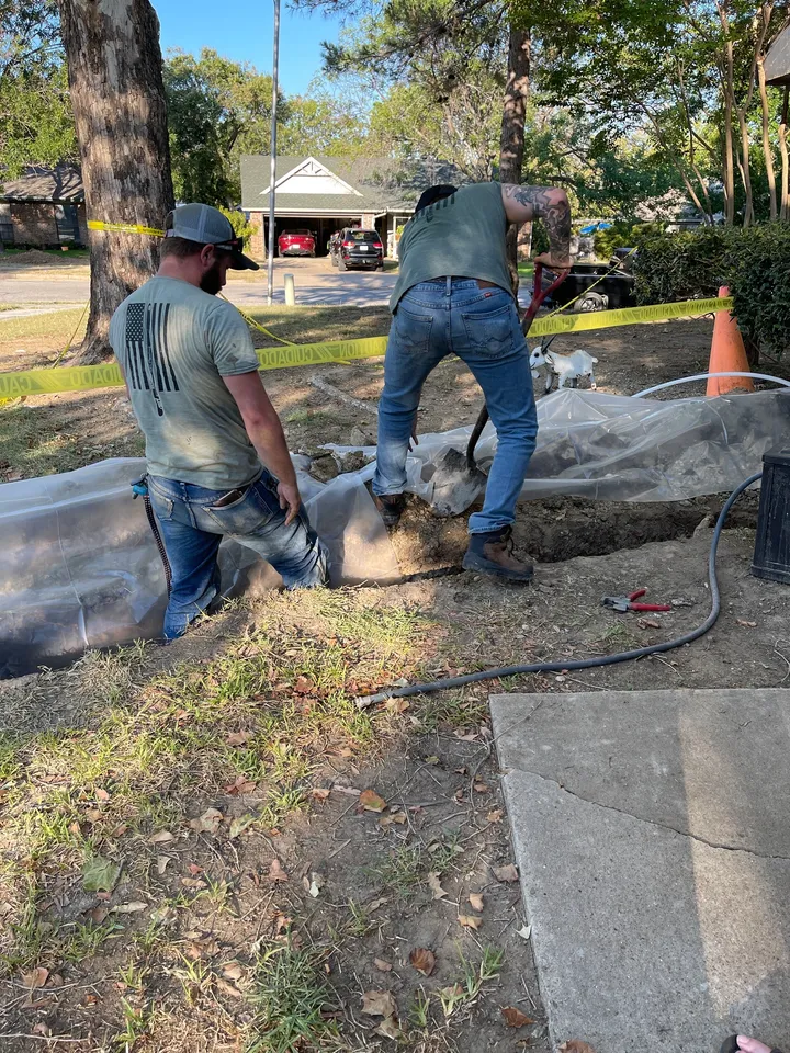 Two men working on a tree in the yard.